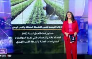 وكالة تقنين القنب الهندي تصدر 10 رخص بثلاثة أقاليم