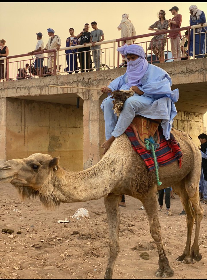 افتتاح فعاليات المهرجان الدولي الرحل بمحاميد الغزلان