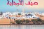 كفاءات مغاربة العالم ودورها في التنمية