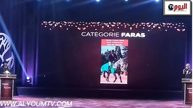 جائزة مغرب الفروسية ال17 تحتفي بأجود الفرسان والفارسات والخيول المتألقين في الموسم الرياضي 2023