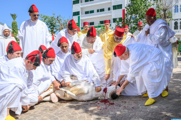 جلالة الملك محمد السادس يؤدي صلاة العيد بتطوان