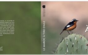 بلاغ صحفي : صدور كتاب 