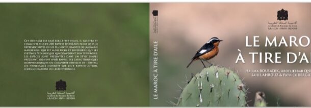 بلاغ صحفي : صدور كتاب 