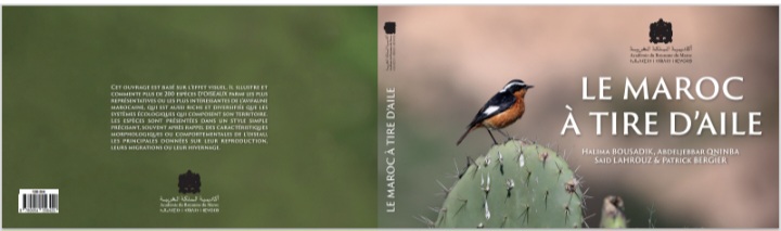 بلاغ صحفي : صدور كتاب 