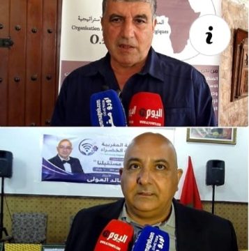 الشباب في العمل السياسي للمنظمة الإفريقية للدراسات الاستراتيجية والرابطة المغربية الرقمية الخضراء