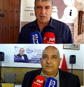 الشباب في العمل السياسي للمنظمة الإفريقية للدراسات الاستراتيجية والرابطة المغربية الرقمية الخضراء